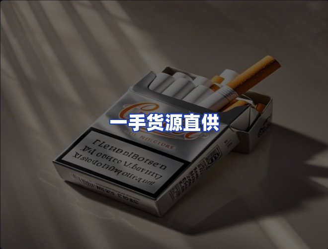 专业团队